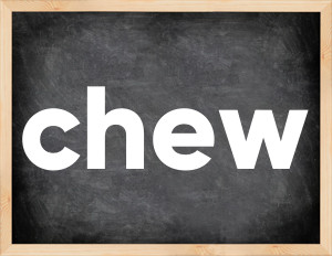 3 forms of the verb chew