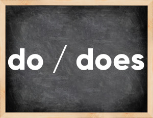 3 forms of the verb do / does