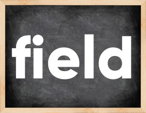 3 forms of the verb field
