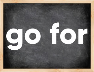 3 forms of the verb go for