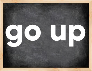 3 forms of the verb go up in English
