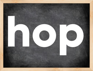 3 forms of the verb hop
