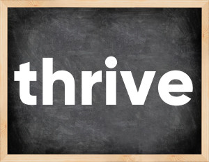 3 forms of the verb thrive